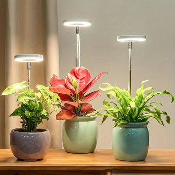 Adjustable LED Grow Light for Indoor Plants - Full Spectrum, 4 Levels, Timer, USB Powered